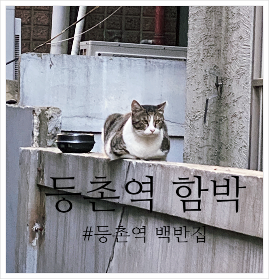  등촌역 함박 #등촌역백반