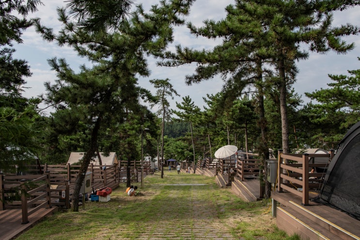  179th 사천 비토국민여가캠핑장