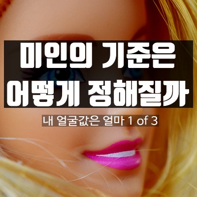  미인의 기준은 누가 정하는 걸까? :: 세계 외모 순위 1위인 한국 아이돌은?