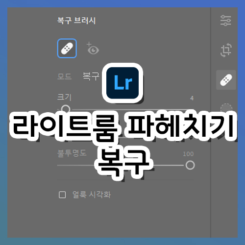  [라이트룸 강의] 라이트룸 파헤치기(6) - 복구