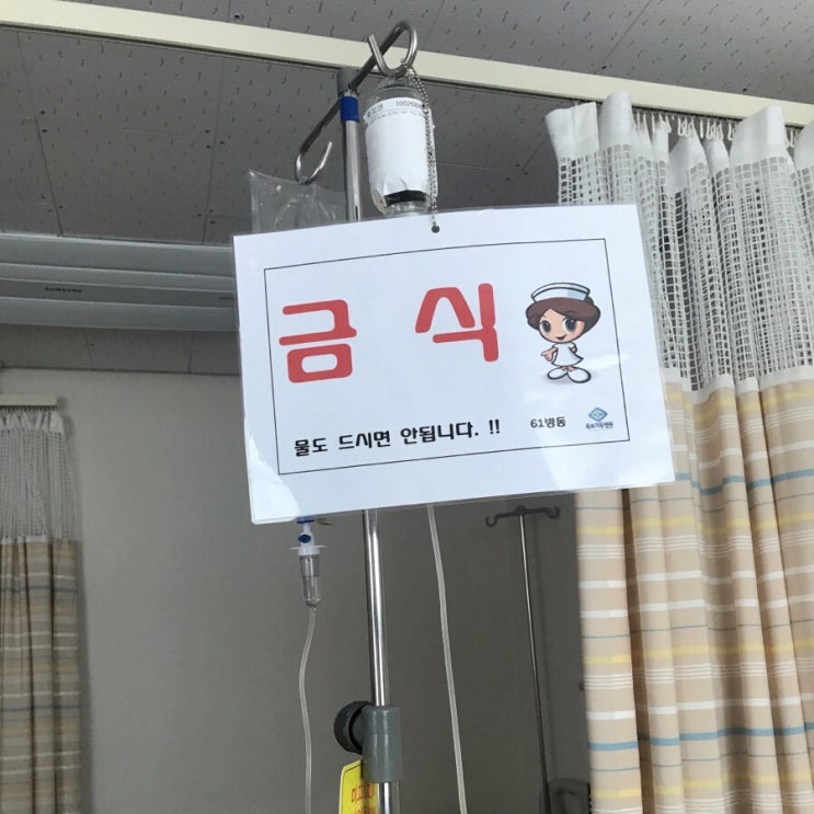  15번째 주간일기