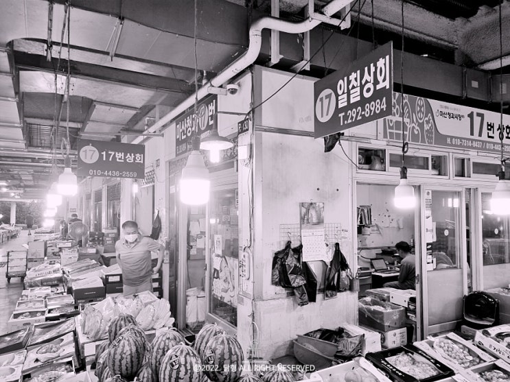 창원 내서 농산물 도매시장 :: <b>마산청과시장</b>