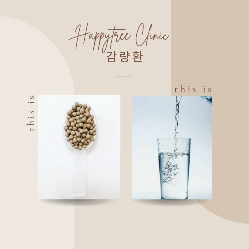 감비환 성분 체계적인 관리 방식 3