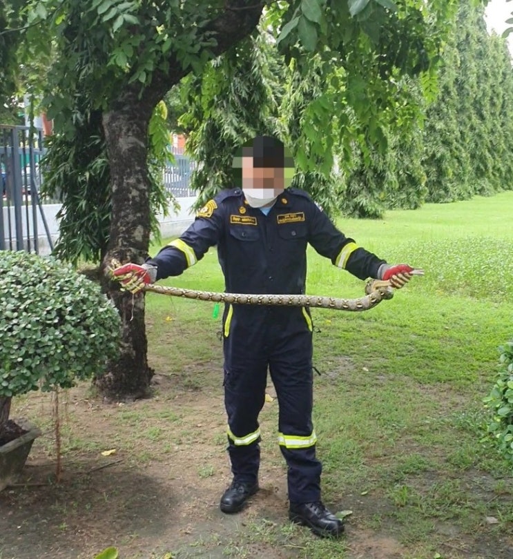  비오면 길에서 배타고, 뱀도 나오는 어메이징 방콕