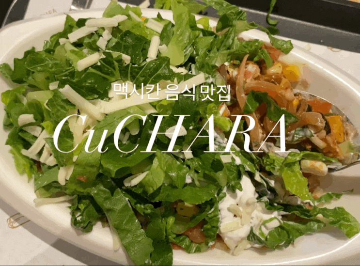  멕시칸 가게 맛집  '쿠차라 종로점'