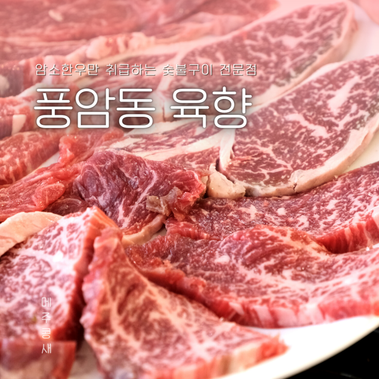  광주 서구 맛집 새로 오픈한 풍암동소고기 :: 육향
