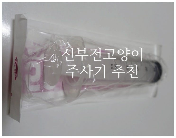  고양이 주사기 추천 #신부전고양이 #수액주사기