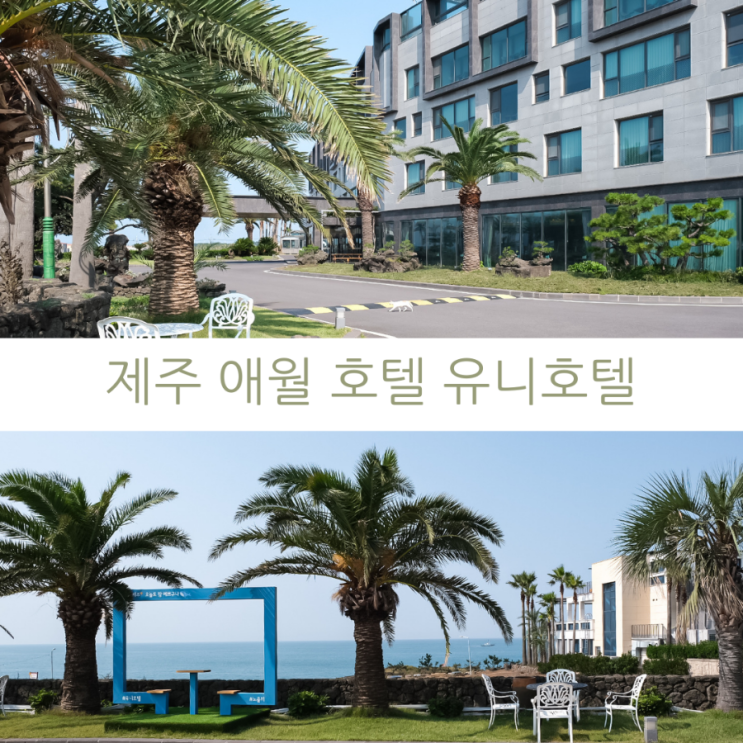  제주여행 제주호캉스 즐기기 좋은 애월호텔 추천
