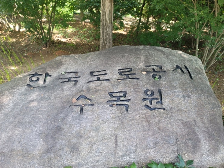  전주 식물원 풍경쉼터 수련, 서양정원 조각,계류원 단풍 | 한국도로공사 전주수목원