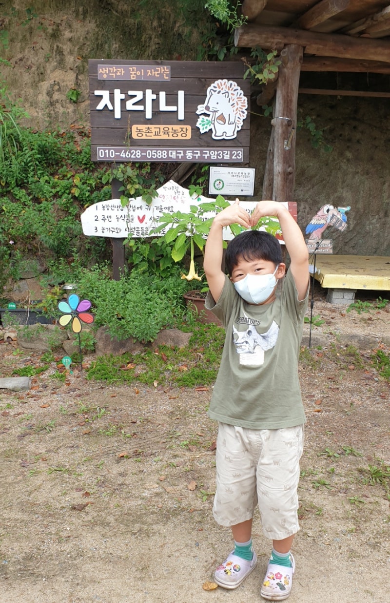 대구 밤따기 체험 in 자라니 농원