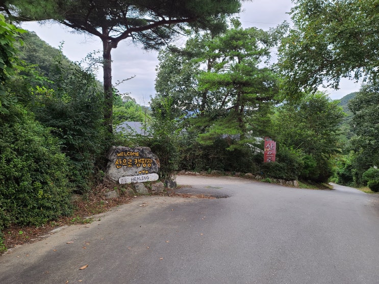  강원도 홍천 산으로캠핑장에서 솔로 캠핑