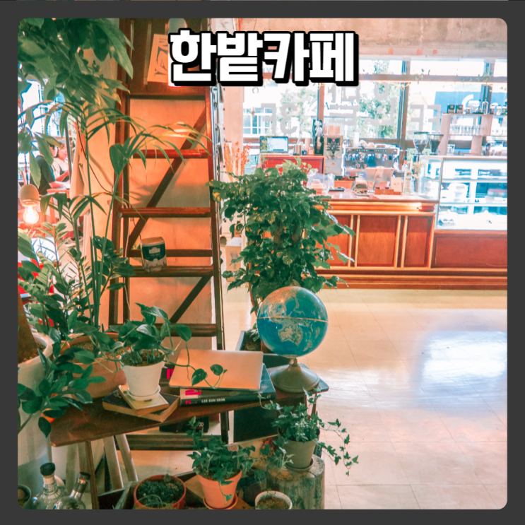  대전 은행동, NC백화점 근처 카페 추천 - 한밭카페