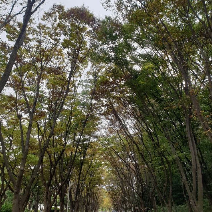  첼린지 열다섯
