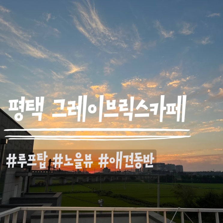  아이랑 평택여행/ 평택그레이브릭스/루프탑카페/애견카페/노을뷰