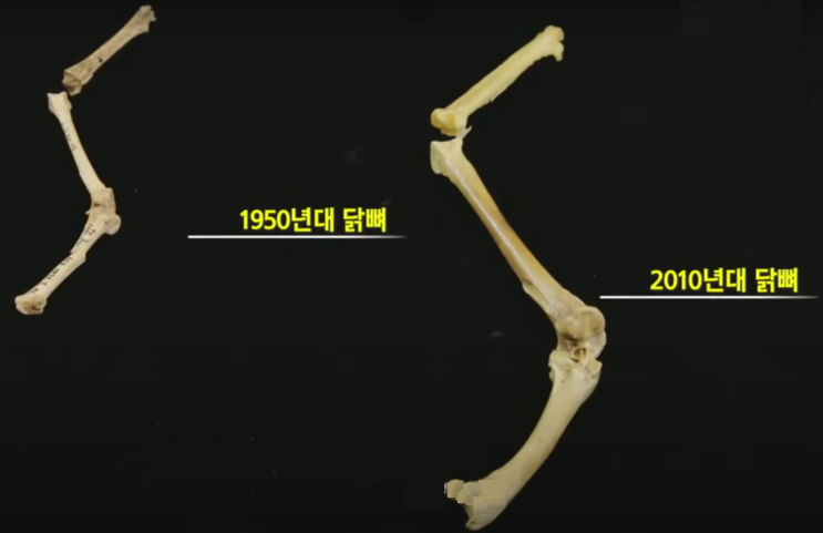  인류세
