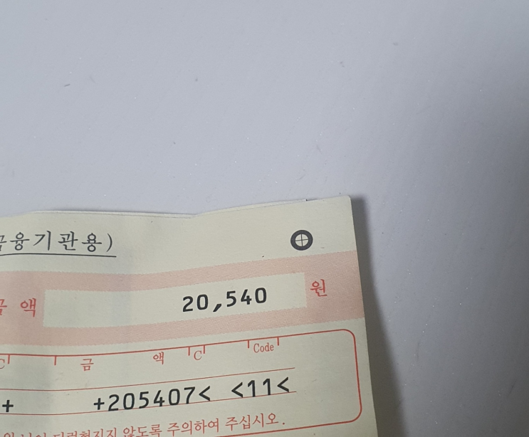  8월 가스비 + 고양이 사진/길냥이 몰래 찍은 사진들!