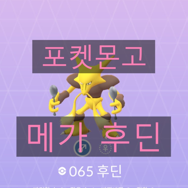 포켓몬고 캐이시, 윤겔라, 후딘, 메가후딘, 상성 졸업스킬 정리 포켓몬고 캐이시, 윤겔라, 후딘, 메가후딘, 상성 졸업스킬 정리