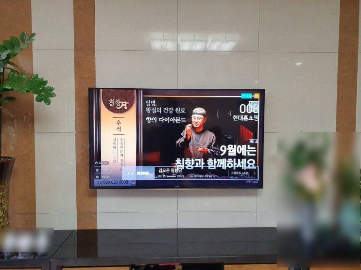  신기동 양산우방아이유쉘 벽걸이티비설치