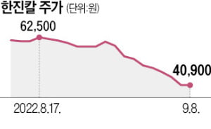 3700억 넣었는데 2주 만에…한진칼 믿었던 기관들 어쩌나