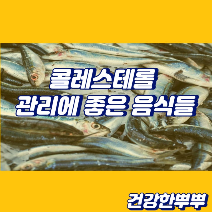  콜레스테롤낮추는음식 콜레스테롤좋은음식