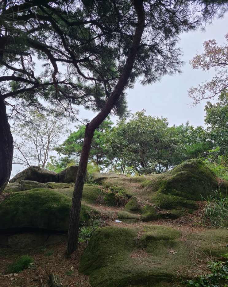  전북 익산 미륵산 등산 코스(주차장~약수터~미륵산~원점)
