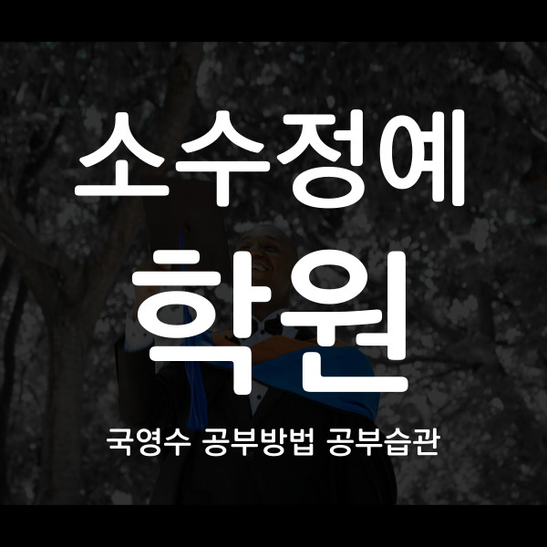  마포 중학생 영수학원 초등 국어학원 고등 내신 소수정예 맞춤수업 하면서