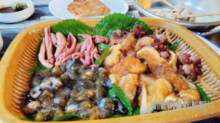  [대구/달서구/용산동] 용산시장 횟집 도셰프 갯마을 해산물 맛집 내돈내산 먹방
