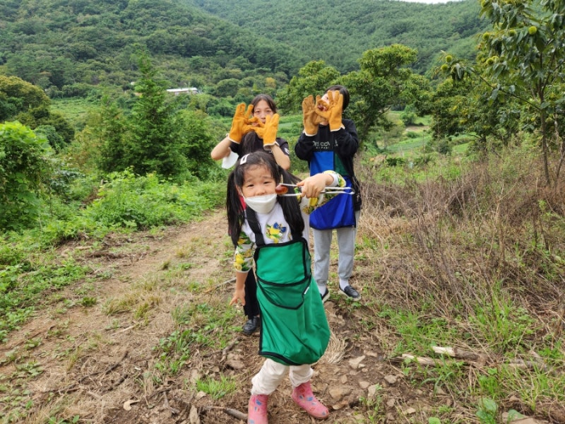 경남 고성 밤줍기체험 가을 수확체험 경남 밤따기체험 밤줍기체험 경남 알밤줍기 알밤따기 ....