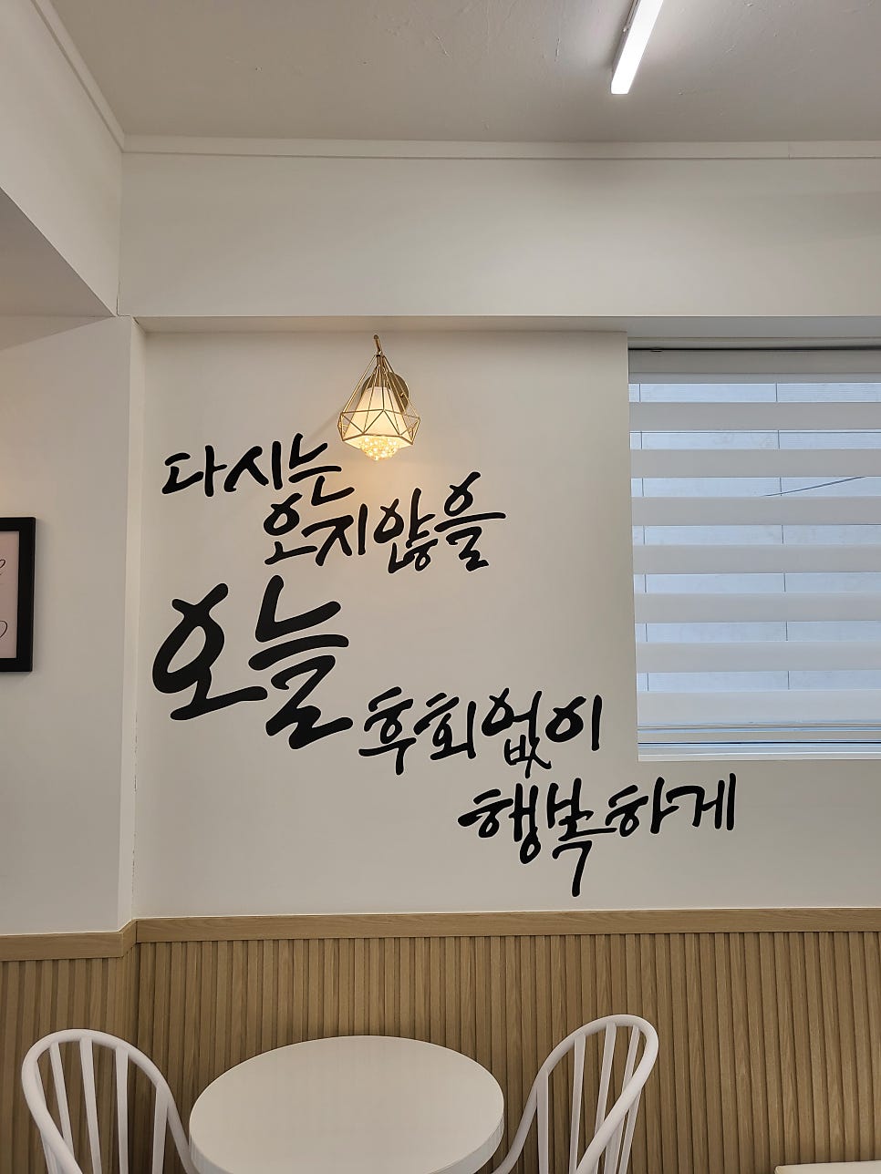 세주르 사진 6