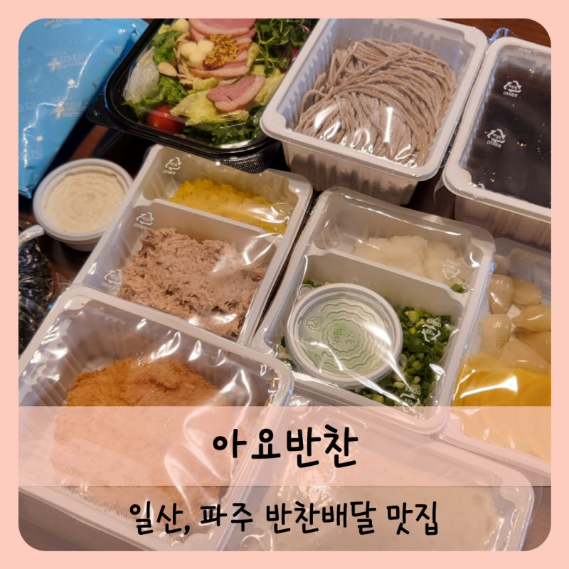 일산 반찬배달, 아요 반찬으로 푸짐한 점심을 준비한