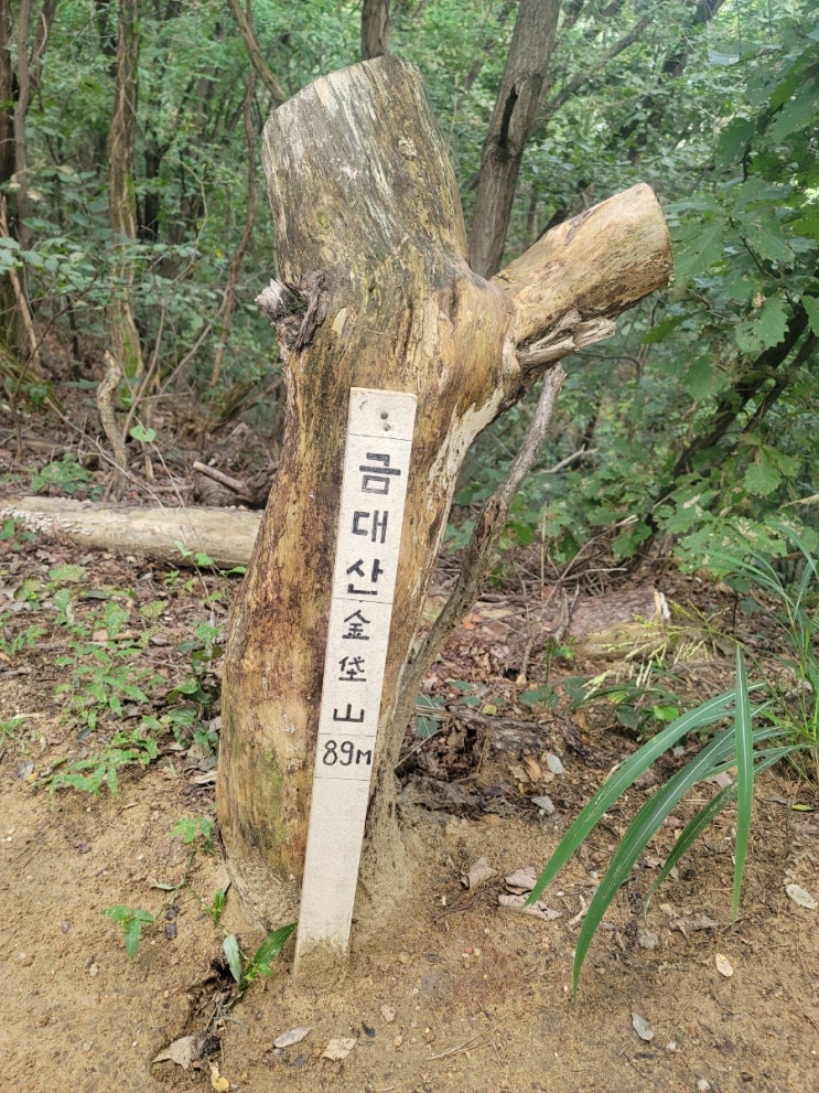  전립선암 말기 할아버지 치유한 남양주 금대산에서 맨발걷기(맨발걷기 장소 추천)