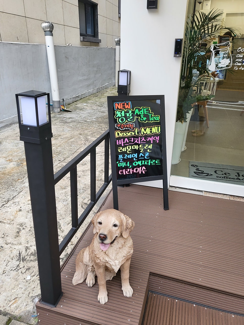 세주르 사진 3