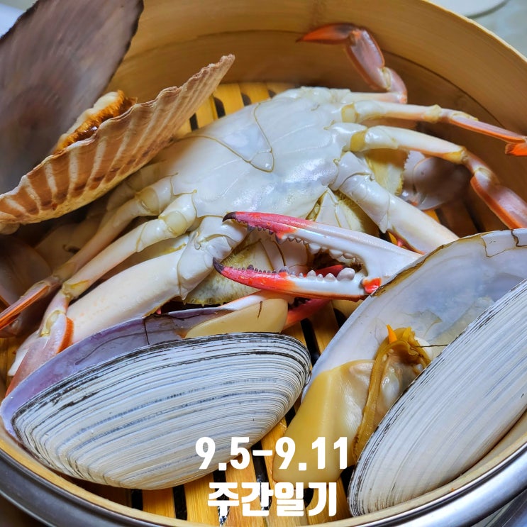  [9/5-9/11] 주간일기 15주차, 추석 주간은 역시 먹부림이지