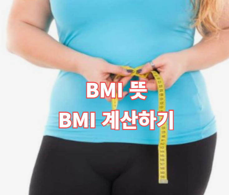 BMI 뜻과 BMI 계산하기, 체질량지수에 대해 알아보자