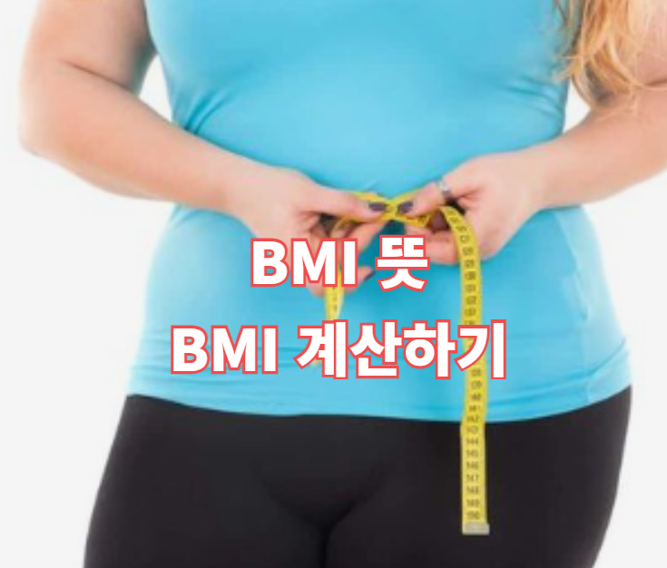  BMI 뜻과 BMI 계산하기, 체질량지수에 대해 알아보자