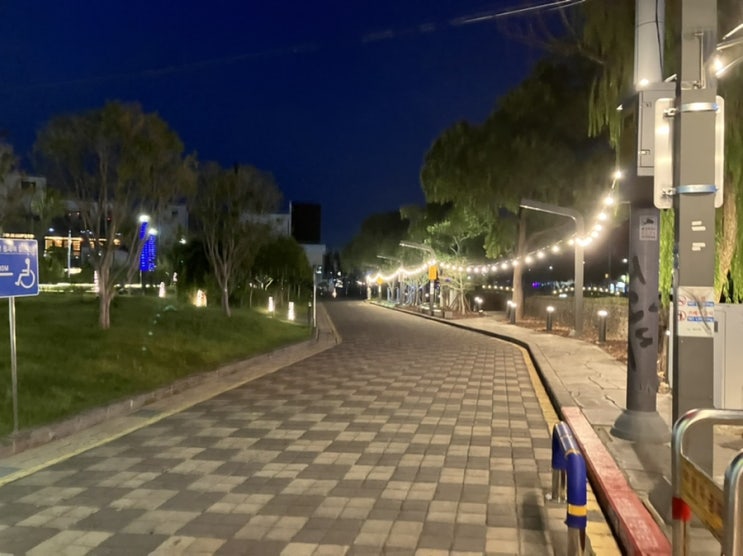 아내와 함께 한 제주 여행 (6) 야시장 산책 - 동문시장 아내와 함께 한 제주 여행 (6) 야시장 산책 - 동문시장