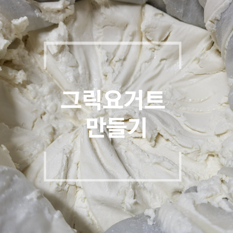  그릭요거트 만들기 꾸덕꾸덕 전자레인지 이용