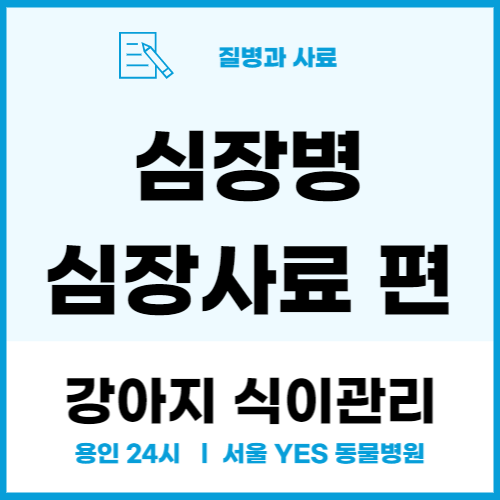  강아지 식이 처방 사료 _심장병, 심장사료편(용인 분당 24시 동물병원)