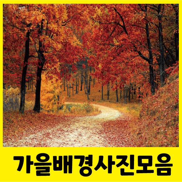  멋진 가을배경/단풍/가을풍경 사진모음~