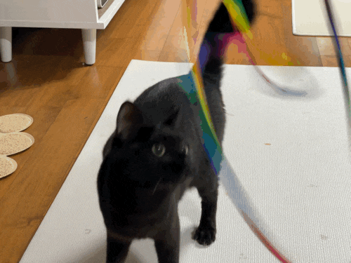  위제트 고양이 리본 낚시대 장난감으로 즐거운 사냥놀이!
