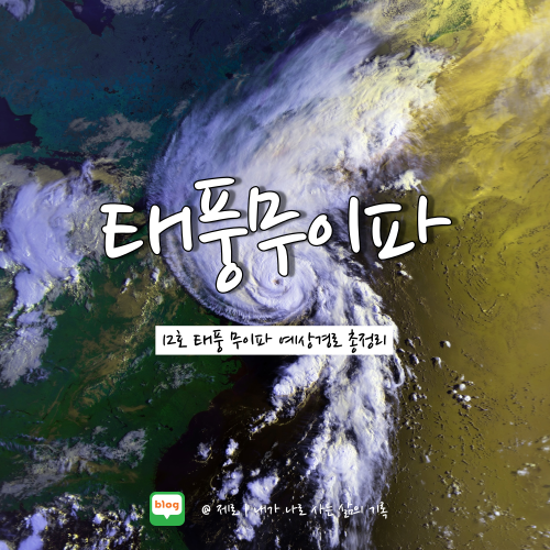  2022년 12호 태풍 무이파 태풍경로 및 현재위치 :: 제주도 영향권
