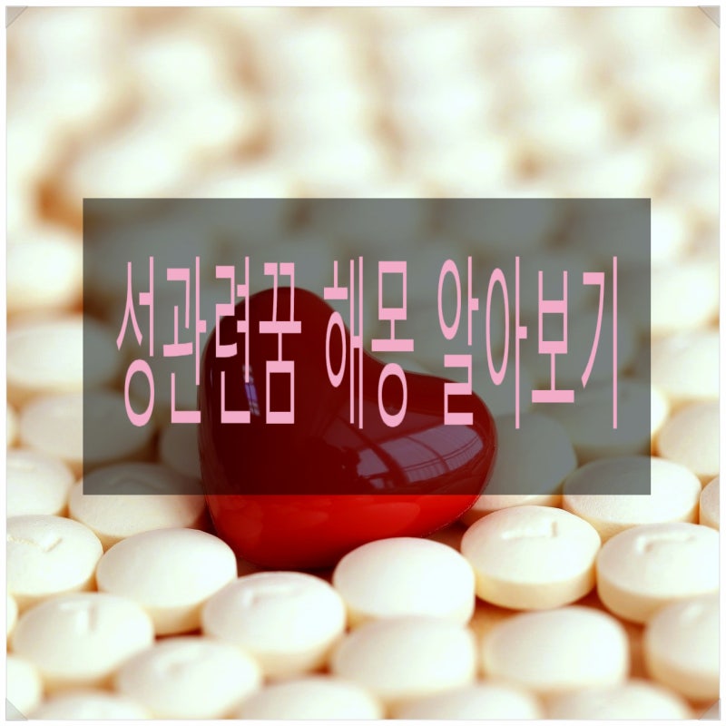 성관련 꿈 해몽 이런뜻이 있다니