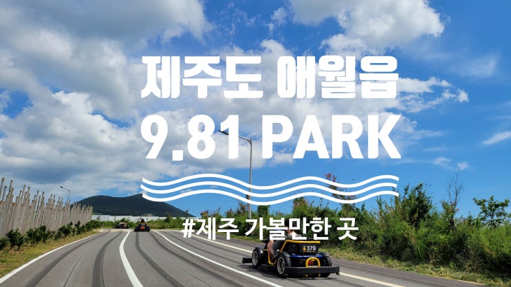  제주 애월 가볼 만한 곳 / 아이와 함께 카트(루지) 즐기기 9.81파크 제주
