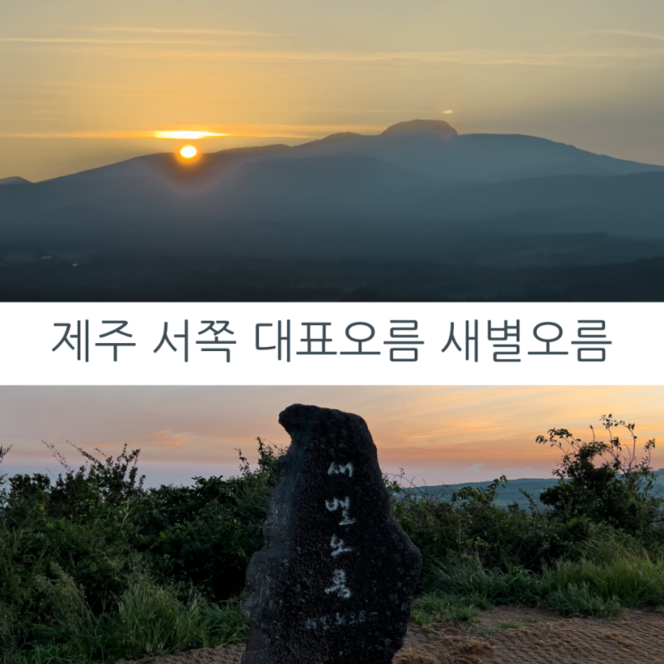  제주여행 제주 서쪽 대표 오름 새별오름에서 보는 일출