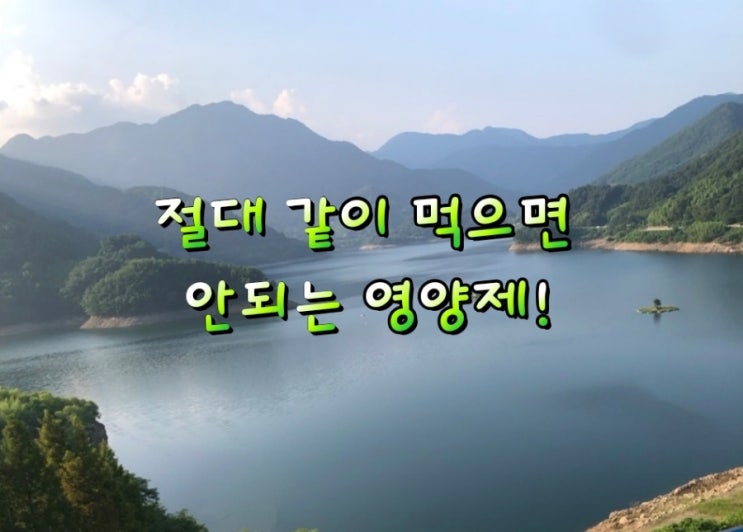 절대 같이 먹으면 안되는 영양제! 절대 같이 먹으면 안되는 영양제!