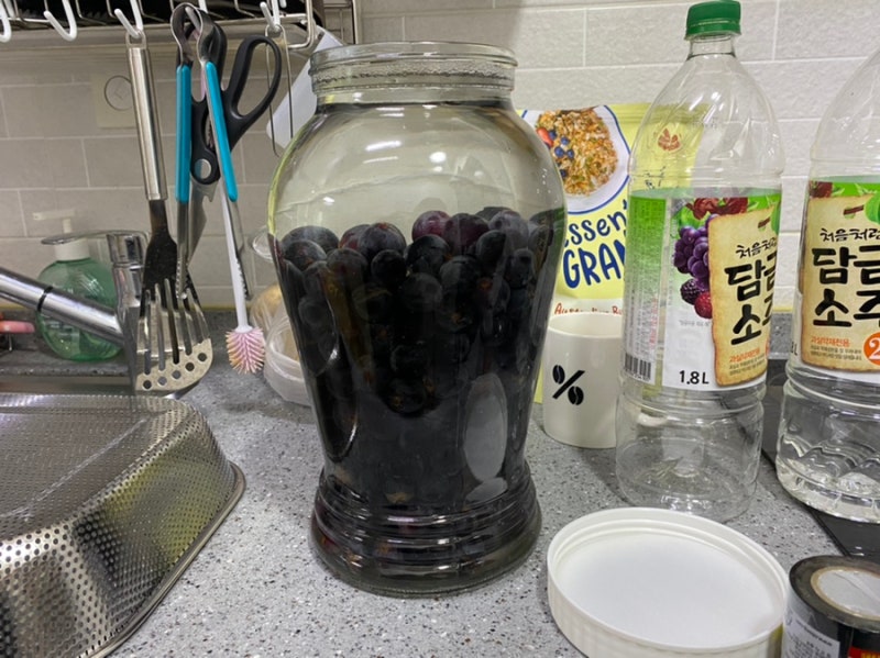 포도 담금주/포도 소주(포도주 X) 담그는 법! no 설탕:D