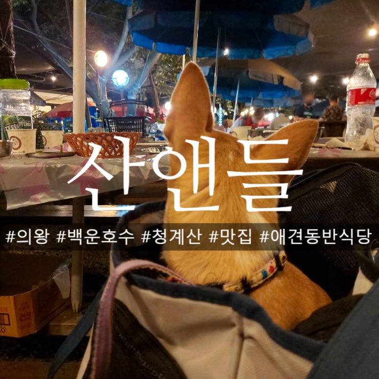 의왕 백운호수 맛집 청계 산앤들 애견동반식당