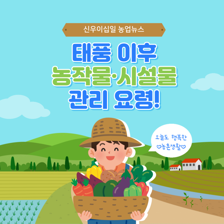  [신우소식] 태풍이후 농작물·농업시설물 관리 요령! / 신우이십일 / 농자재도소매 / 농자재백화점 / 비닐하우스 시공