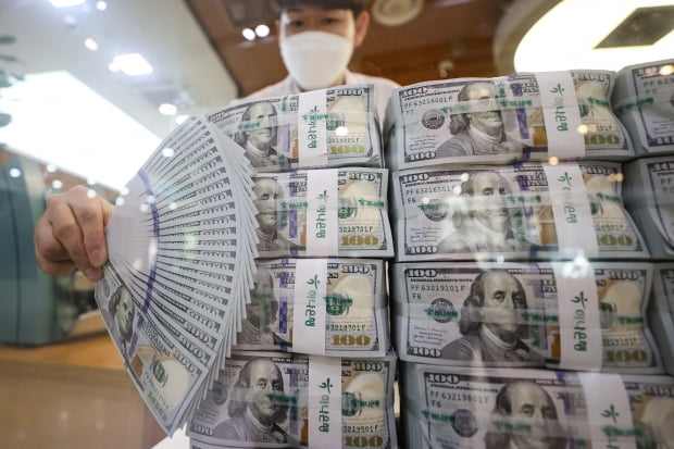 "환율 1400원이면 1.4억 받는다"…지금 '달러보험' 가입해도 될까 "환율 1400원이면 1.4억 받는다"…지금 '달러보험' 가입해도 될까