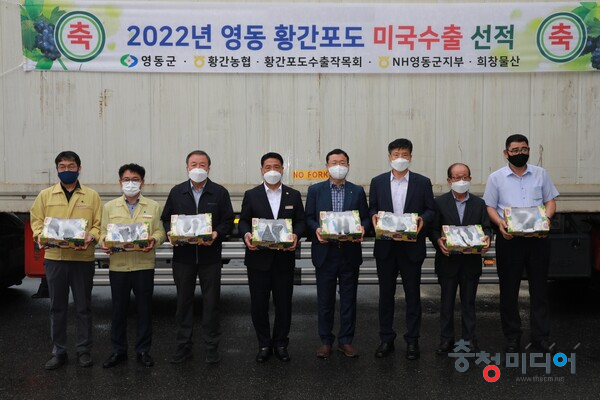  영동 포도 20톤 미국 수출 ... 올 60톤 수출목표 달성 박차